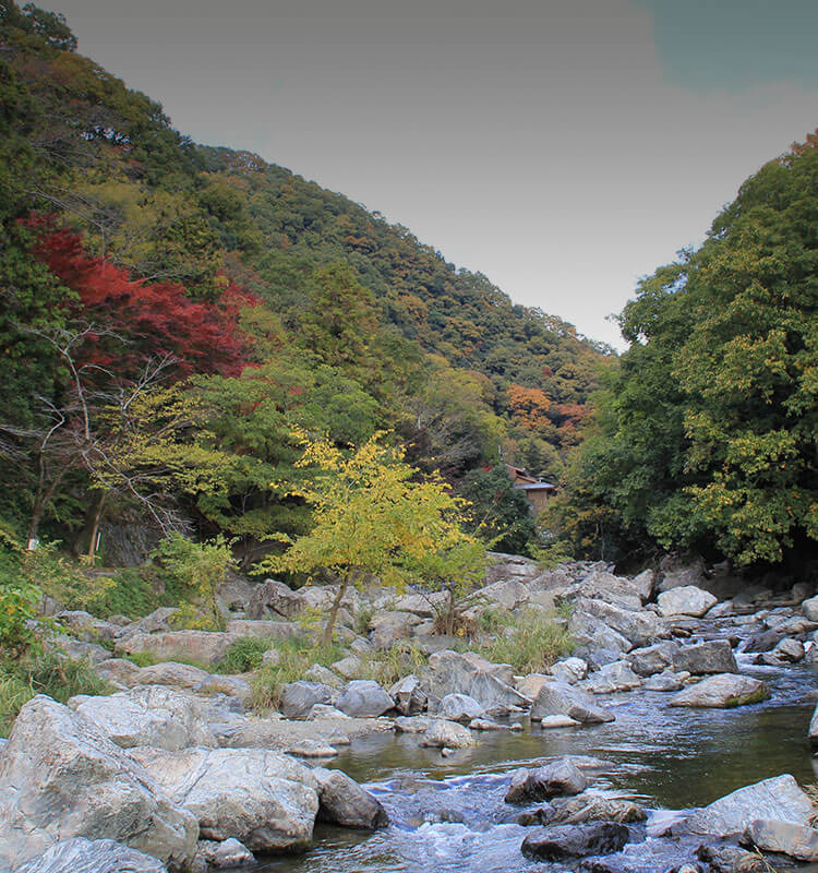 大阪 高槻摂津峡の温泉旅館 花の里温泉 山水館 公式hp