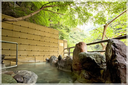 An open-air bath with a view of the stream